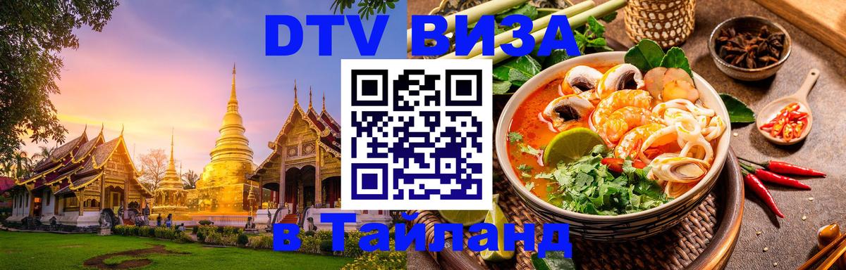Оформление DTV визы под ключ: стоимость и тарифы, только загранпаспорт - Владимир  19.11.2025 